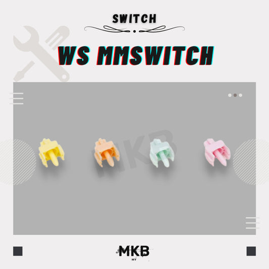 WS MMswitch