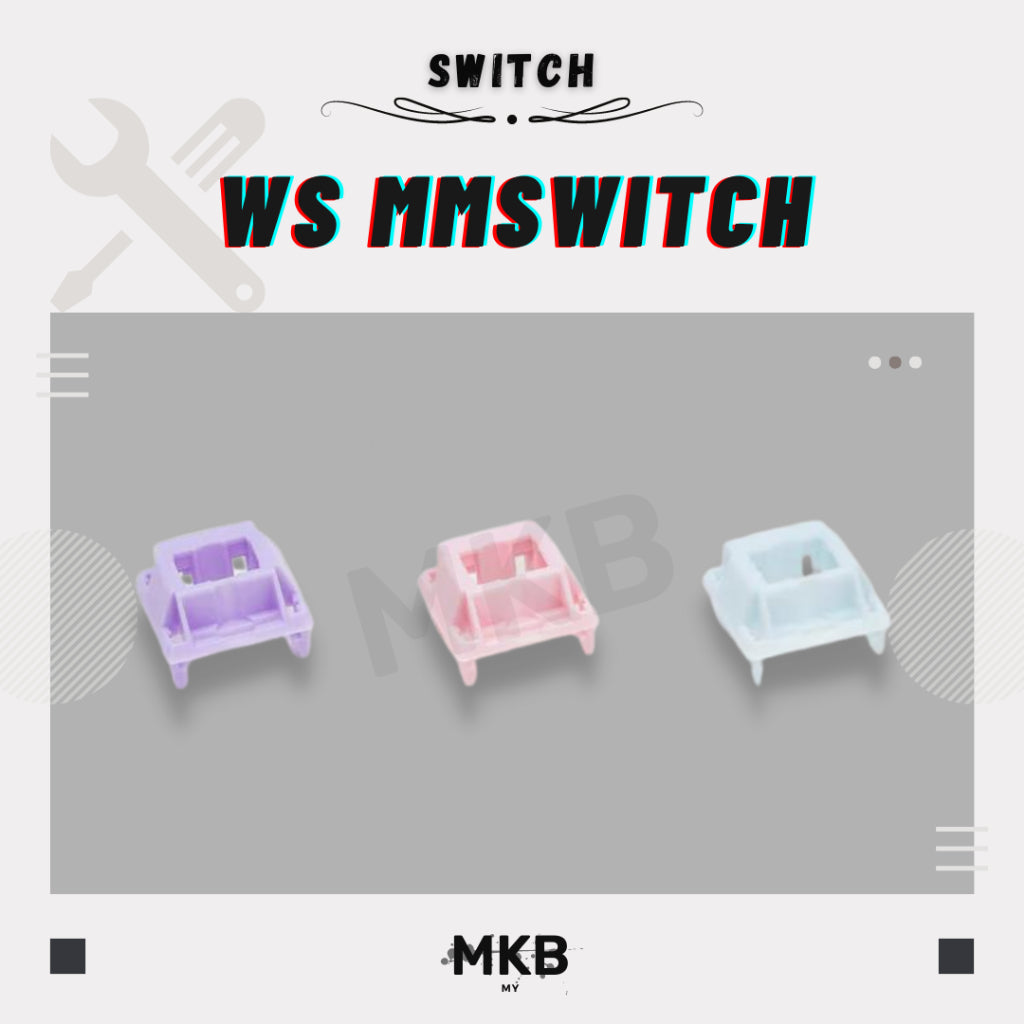 WS MMswitch