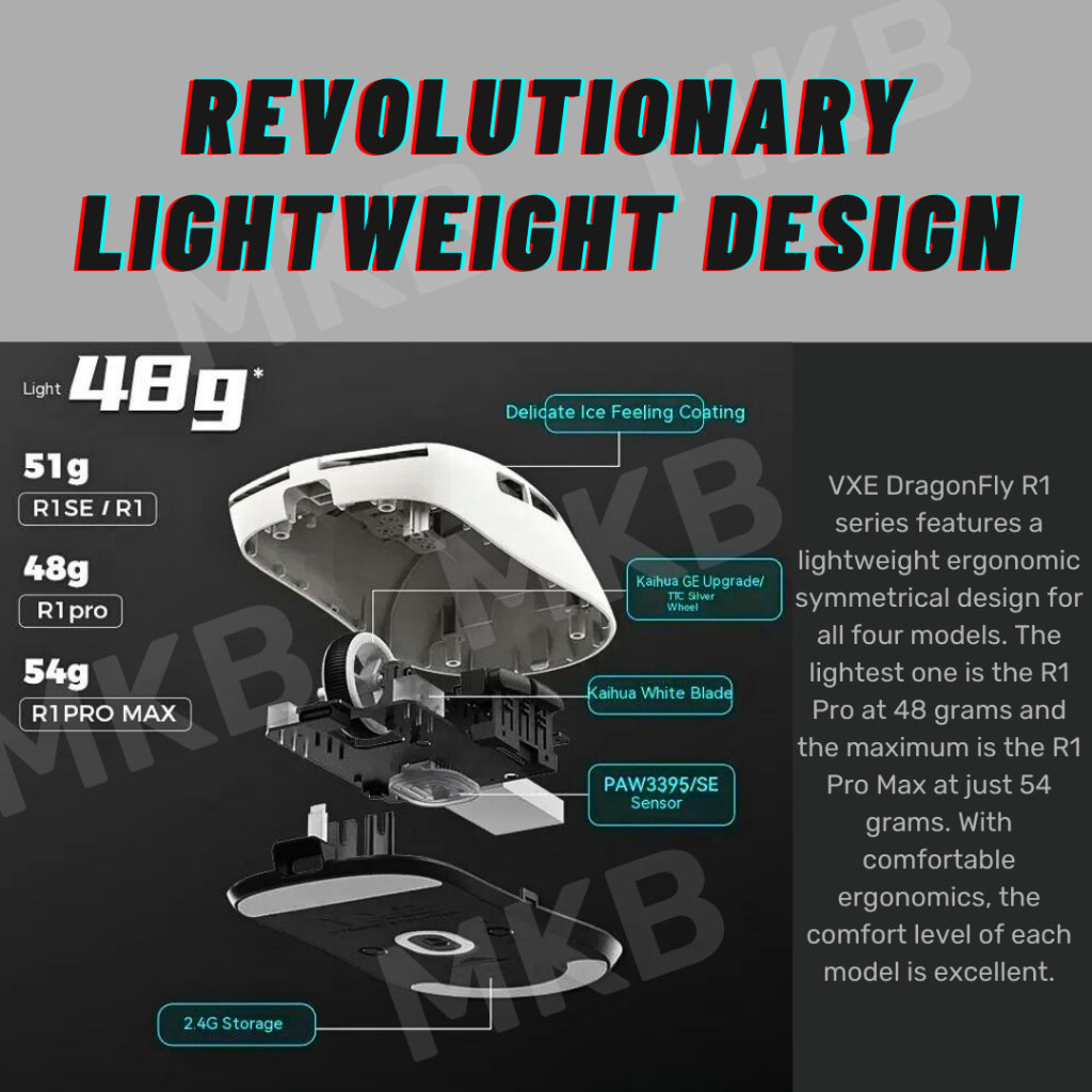 VXE Dragonfly R1