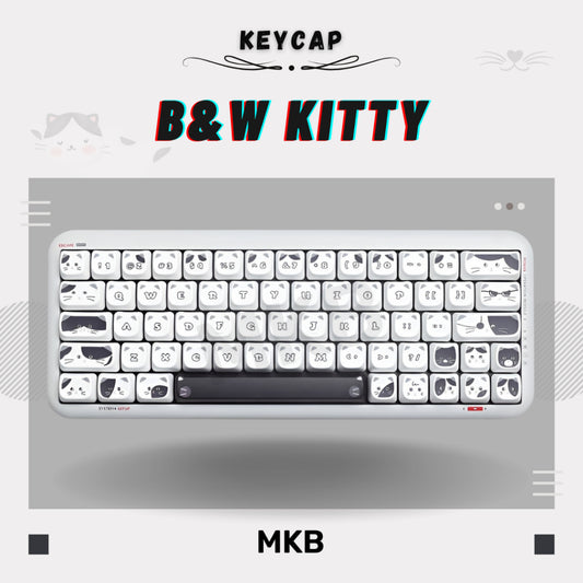 Black and White Kitty