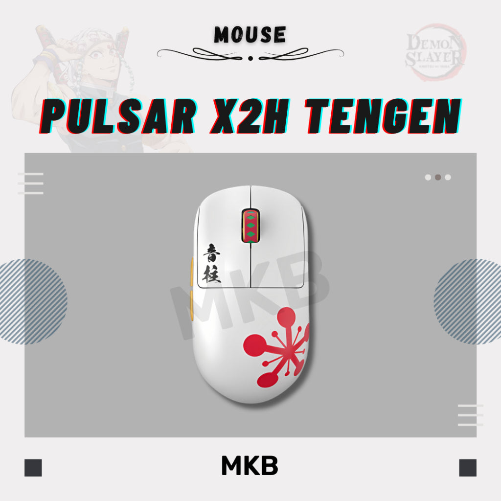 Pulsar X Demon Slayer