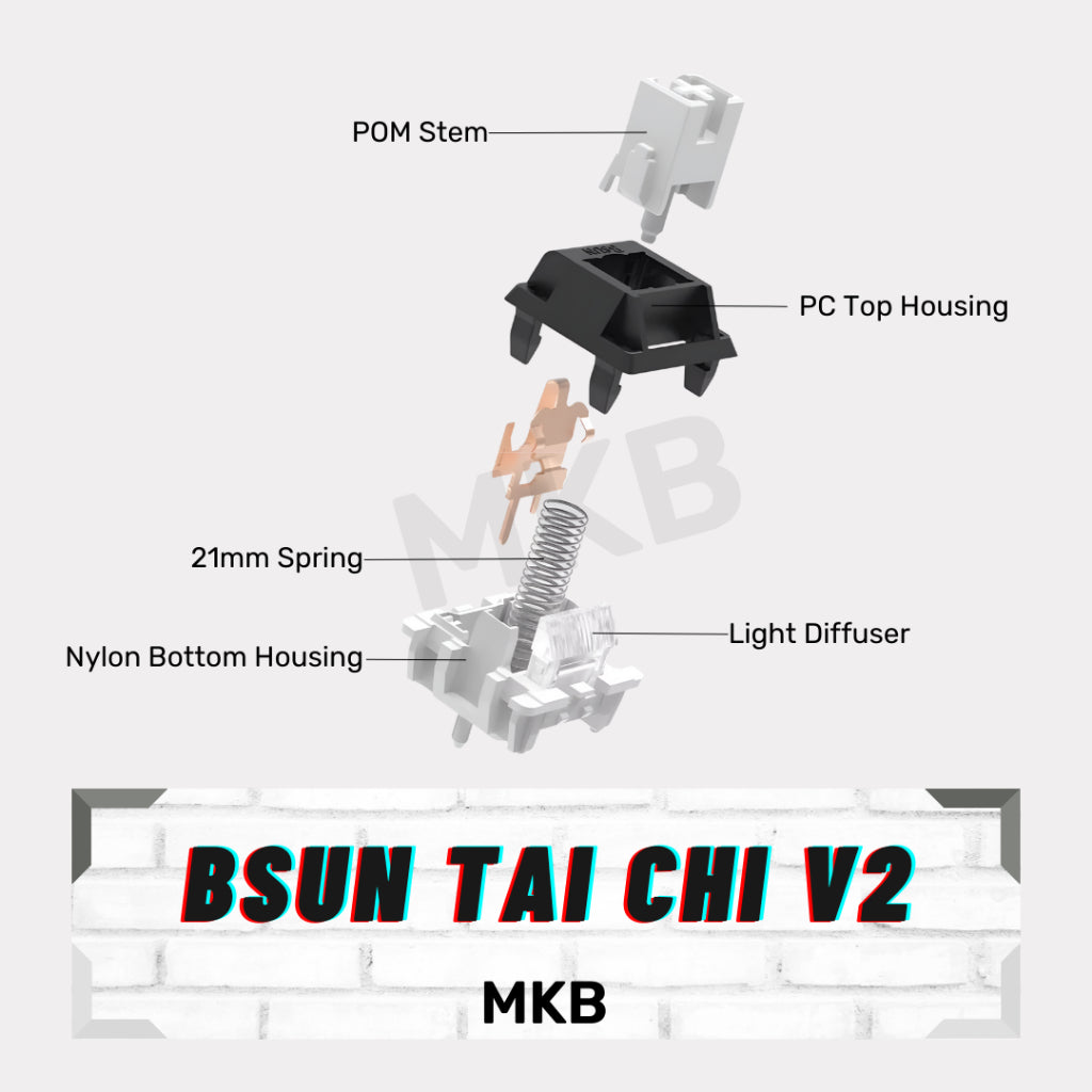 BSUN Tai Chi V2