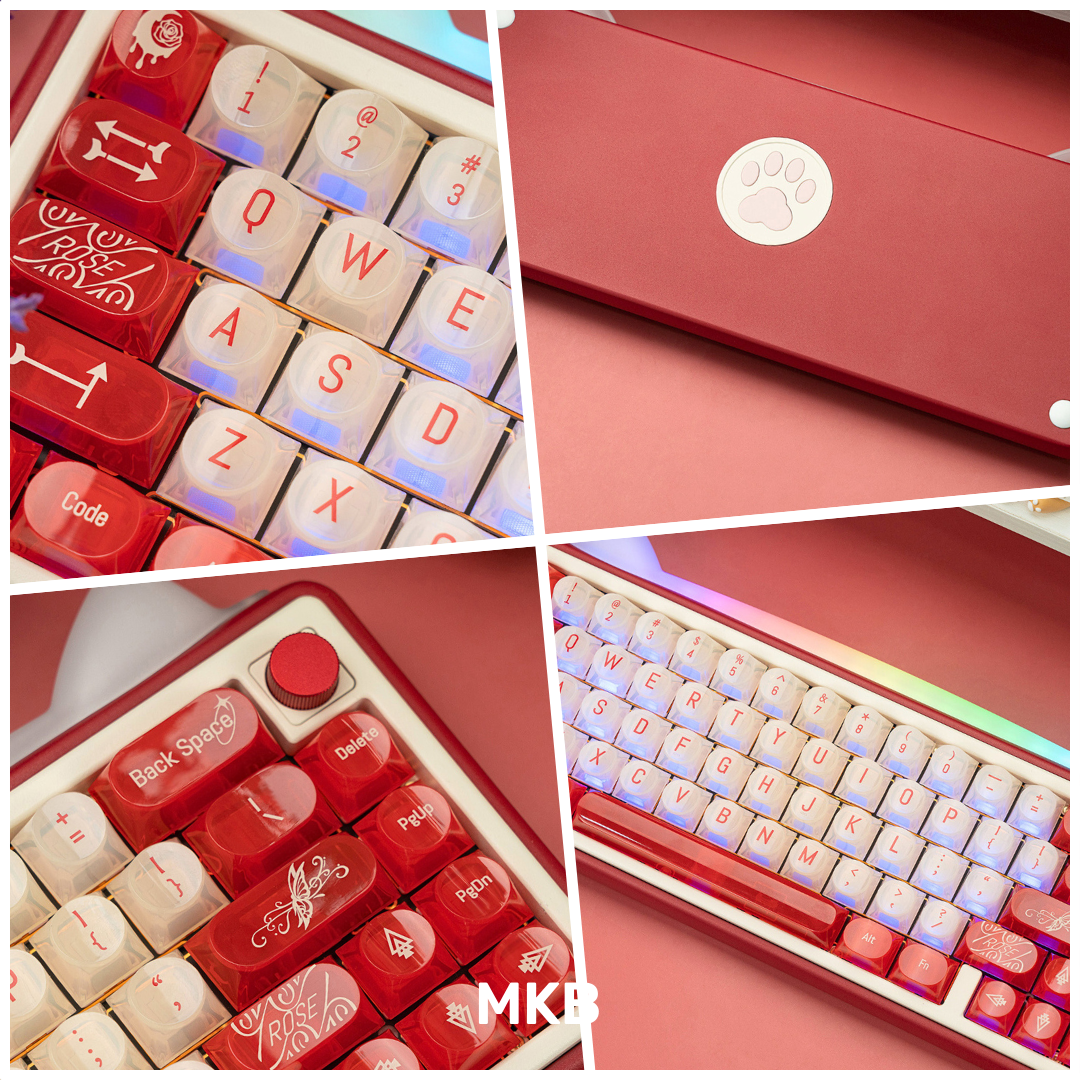 Chilkey Paw 65