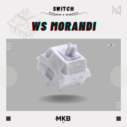 WS Morandi