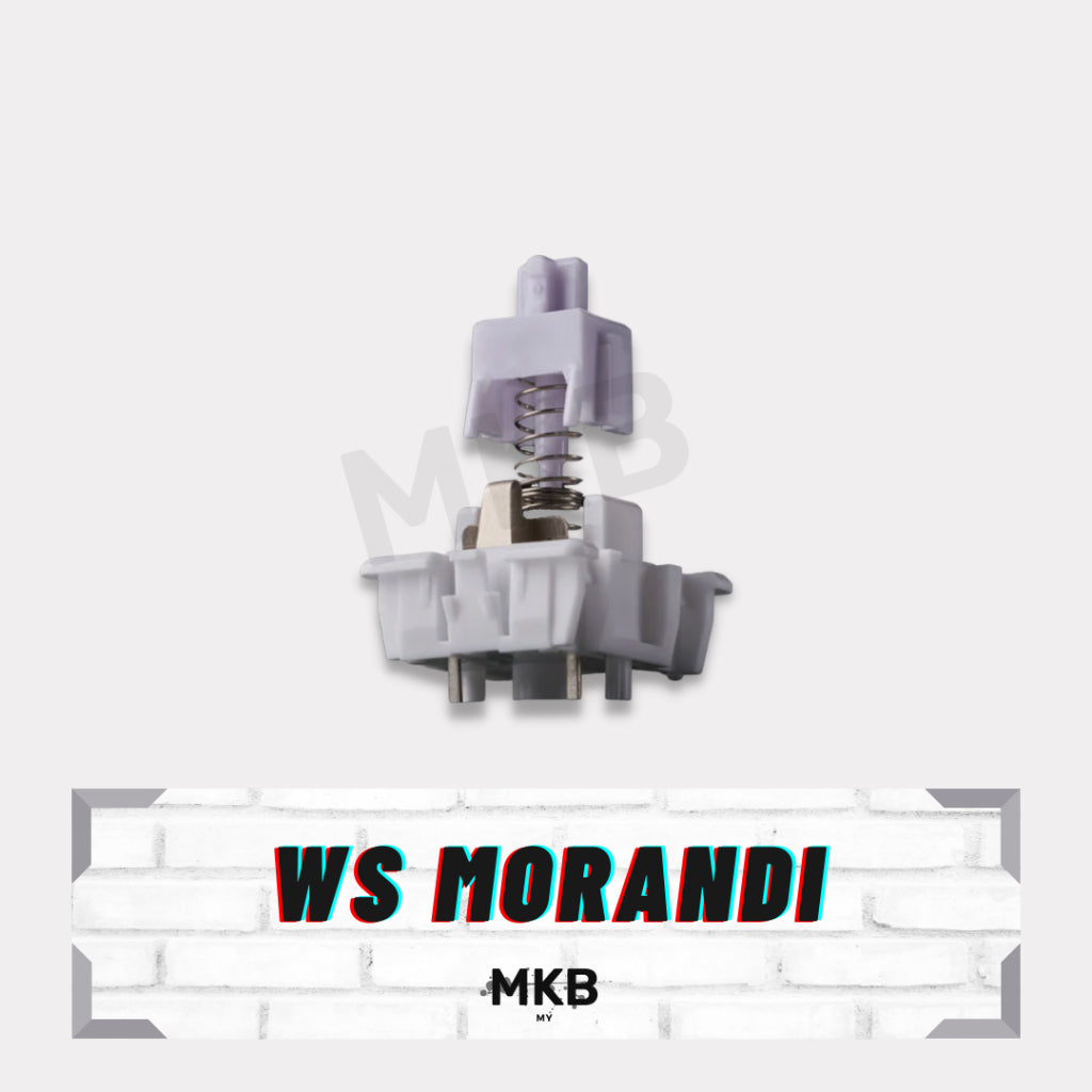 WS Morandi