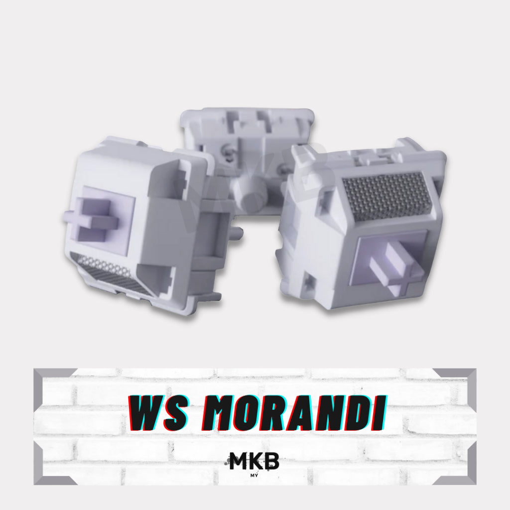 WS Morandi