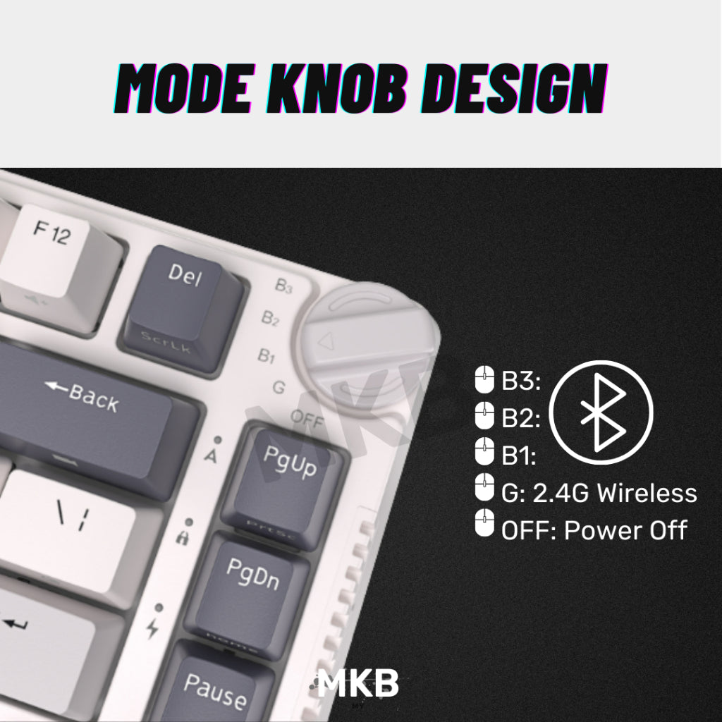 Royal Kludge RK H81