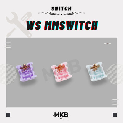 WS MMswitch