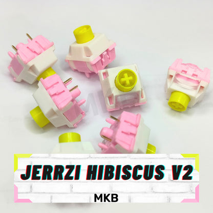 Jerrzi Hibiscus V2