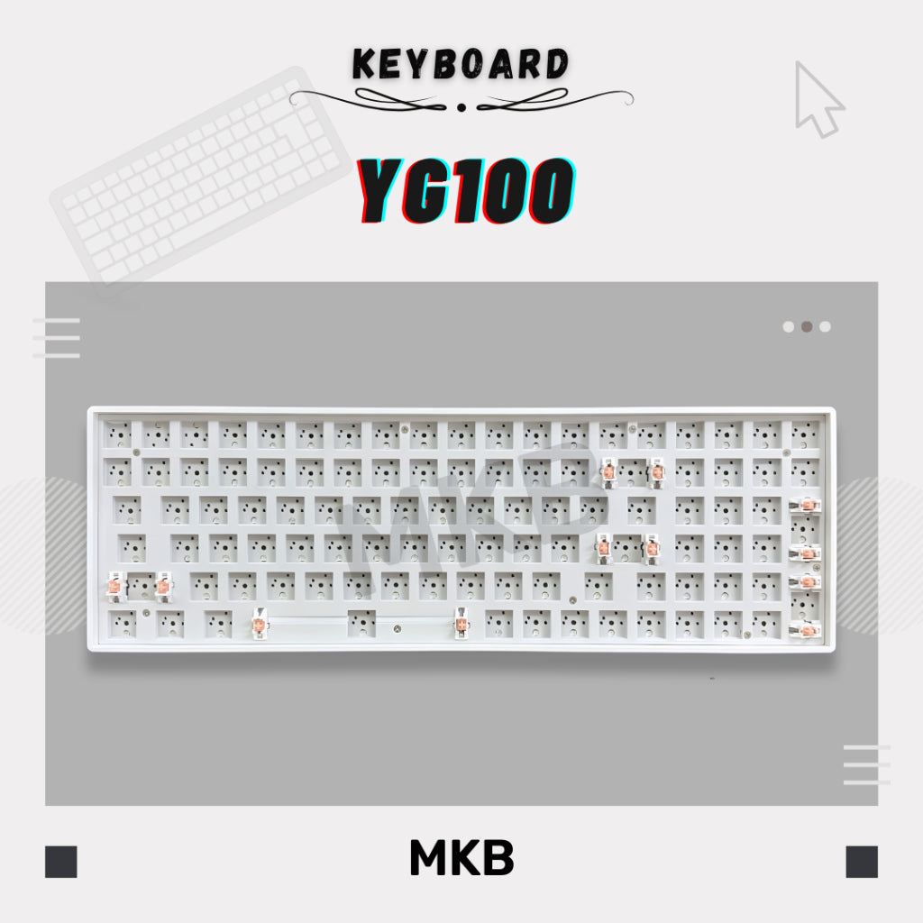 YG100