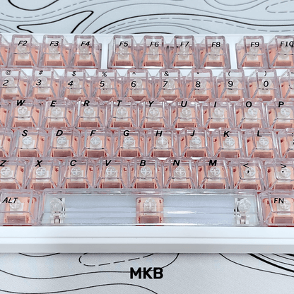 Transparent PC