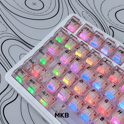 Transparent PC
