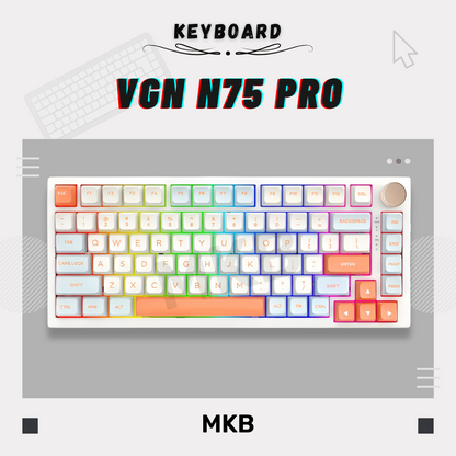 VGN N75/ N75 Pro