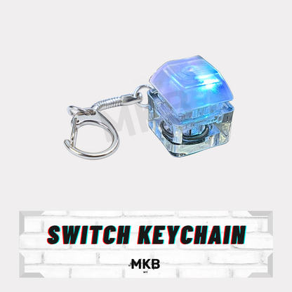 Switch Keychain