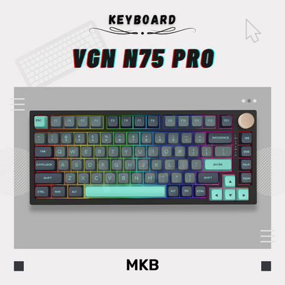 VGN N75/ N75 Pro