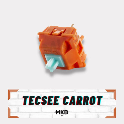 Tecsee Carrot