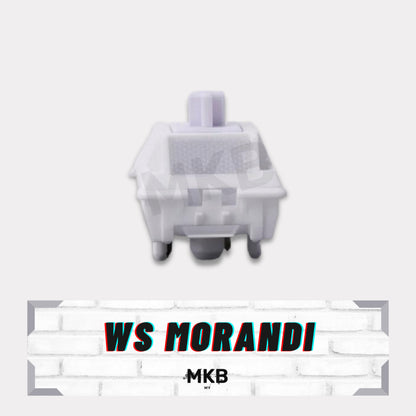 WS Morandi