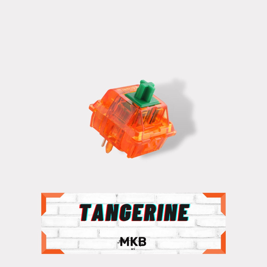 C³ Equalz X TKC Tangerine