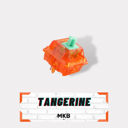 C³ Equalz X TKC Tangerine