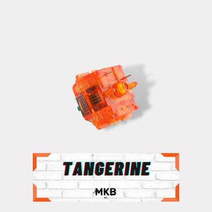 C³ Equalz X TKC Tangerine