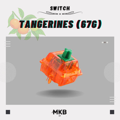 C³ Equalz X TKC Tangerine